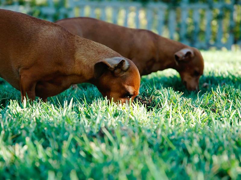 sudoku skill level screenshot 5